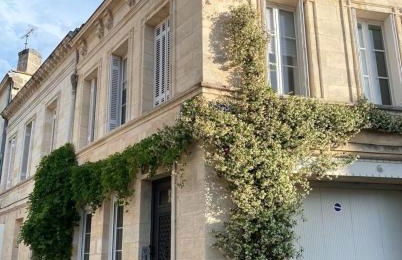 Bô, Peace & Bordeaux - Foto 13