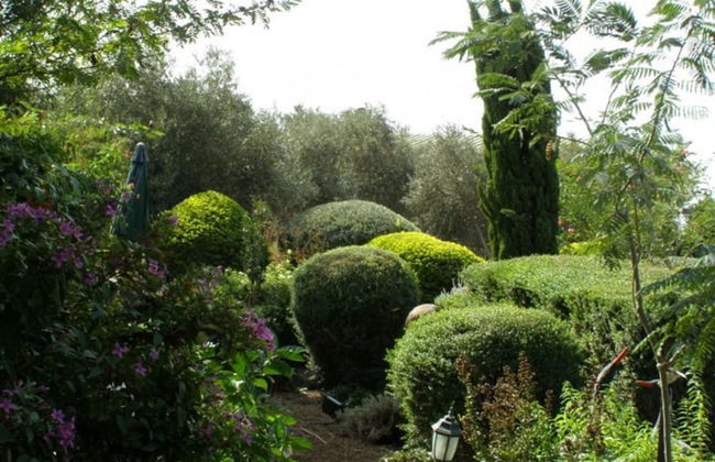 Musical Garden Cabins - Foto 21