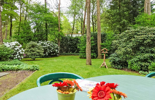 1 bedroom House in Lochem with garden and terrace - Photo 10