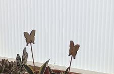 Casacamer S - Foto 38