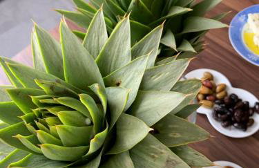 Farmers House - Foto 46