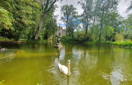 Caldas da Rainha's Green & White - Foto 1