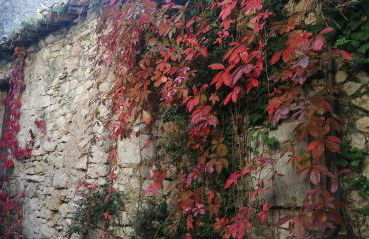 Gite des Gorges de l'Ardèche - Foto 21