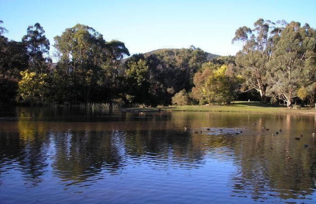 The Burrow At Wombat Bend - Foto 41