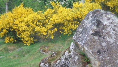 Grange restaurée avec terrasse et wifi à La Bastide - FR-1-582-178 - Foto 2
