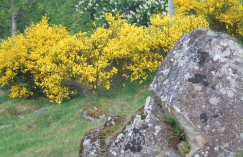 Grange restaurée avec terrasse et wifi à La Bastide - FR-1-582-178 - Foto 2