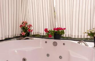 Elysium Araucária Tiny house - Foto 14