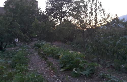 Giardino Donna Lavia - Foto 60