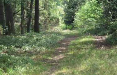 Haus Sonnenschein - Foto 26