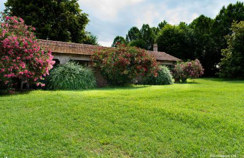 Agriturismo Ca' Guerriera - Photo 44