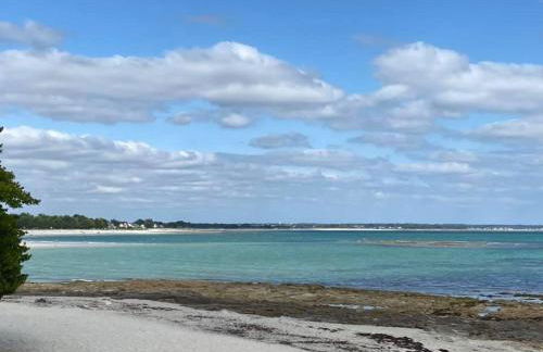 Belle maison rénovée, 650m de la plage, grand jardin, classée meublé de tourisme 3 étoiles - Photo 47