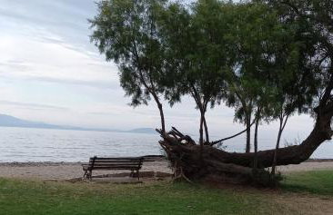 Elizas house - Foto 16