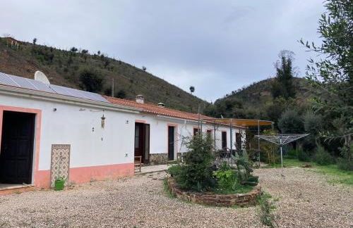 Oleiro de Cima - Foto 1