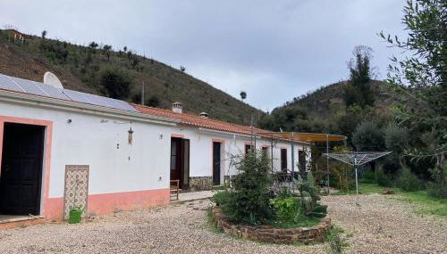 Oleiro de Cima - Foto 1