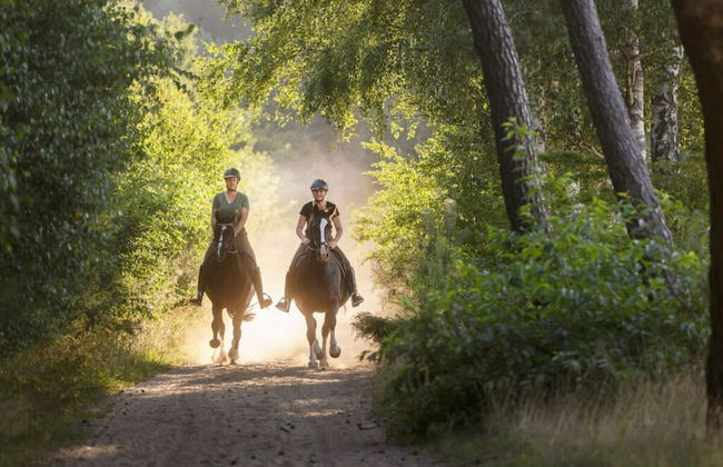 Paviljoen 4 Personen - Photo 16