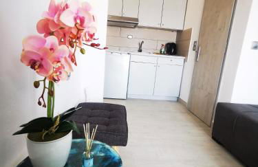 Anthis Studios - Foto 62