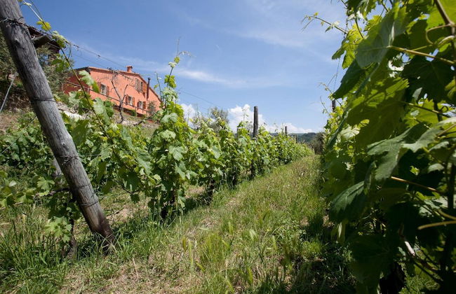 Agriturismo La Burlanda - Foto 33