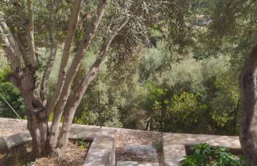 Casa Olea - Photo 41