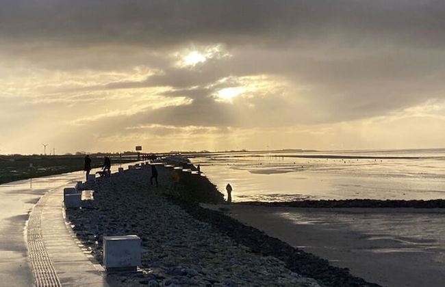 Dandelion Modern Retreat - Foto 3