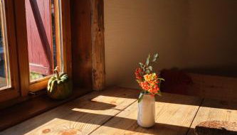 Leśna Kopuła - Foto 4