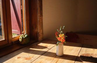 Leśna Kopuła - Foto 4