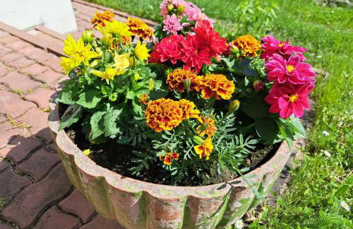 Brzozowy Zakątek - Foto 73