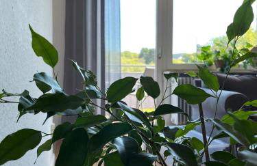 Ferienwohnung Wiesenblick - Foto 6