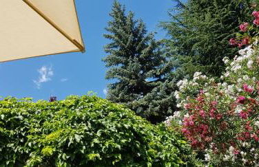 Hotel Gartenresidence Zea Curtis - Foto 53