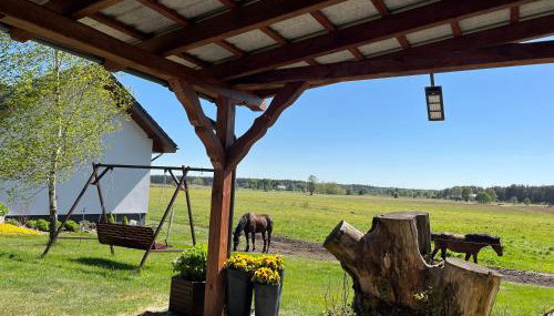 Agroturystyka Dom Skowronek - Foto 2