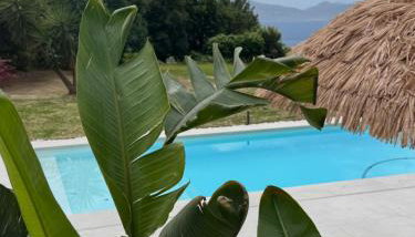 Prado Essence - Foto 2