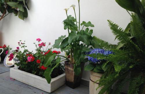 Patio San Lorenzo - Foto 13