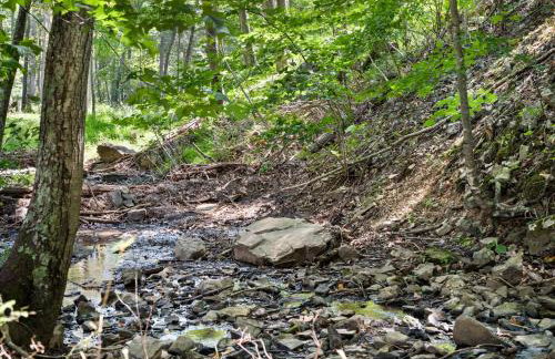 Woodland cabin w hot tub & fire pit - Foto 22