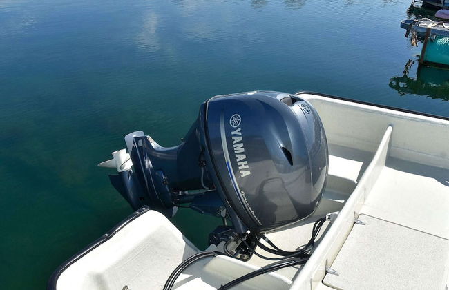 Holiday Home in Farstad - Foto 18