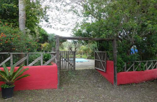 Finca Las Canitas - Ferienhaus Teneriffa - Foto 42