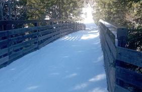 Le cheval blanc E7 - Photo 36