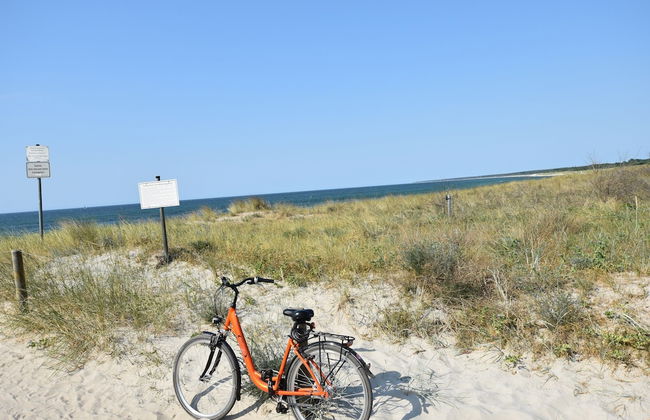 Ferienwohnung in Zingst mit Terrasse - Foto 35