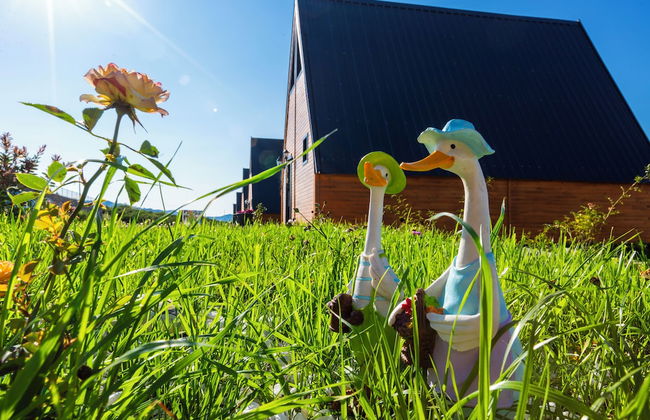 GALAXY BUNGALOW - Foto 24