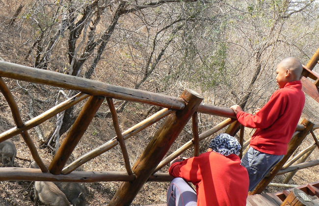 Lion Tree Bush Lodge - Foto 40