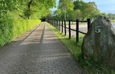 Carpe Deimern in der Lüneburger Heide - Foto 3