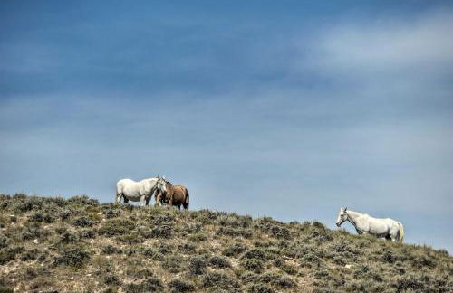Exquisite Log Home with Lander Valley Views! - Foto 36