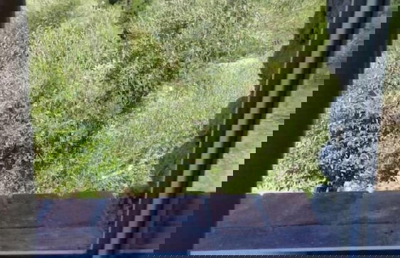 Moulin de l'Ostriconi - Foto 21