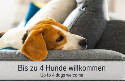 Historisches Gerberhaus: Eingezäunt | Sauna | Whirlpool | Kamin - Foto 9