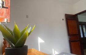 Casa na Serra de Martins - Foto 53