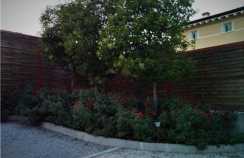 Sant'Andrea Agriturismo con cantina Martignago Vignaioli Asolo Prosecco Docg Wines - Foto 28