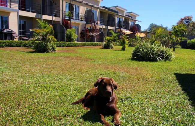 Apartamentos La Alborada - Foto 60