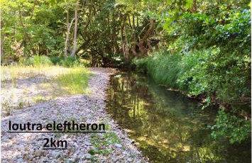 Aegean Villa - Foto 43