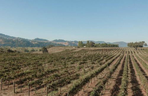 Sunstone Villa - Foto 62