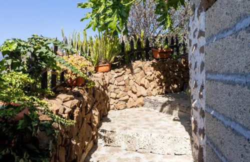 Live Candelaria Araya Muy mia - Foto 61