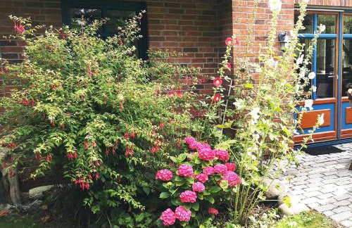 Ferienhaus Arkona Putgarten - Foto 24