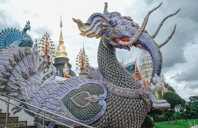 Doona Resort - Photo 3